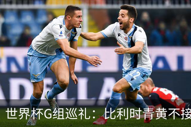 世界杯G组巡礼：比利时青黄不接 伊朗赴美参赛风波不断